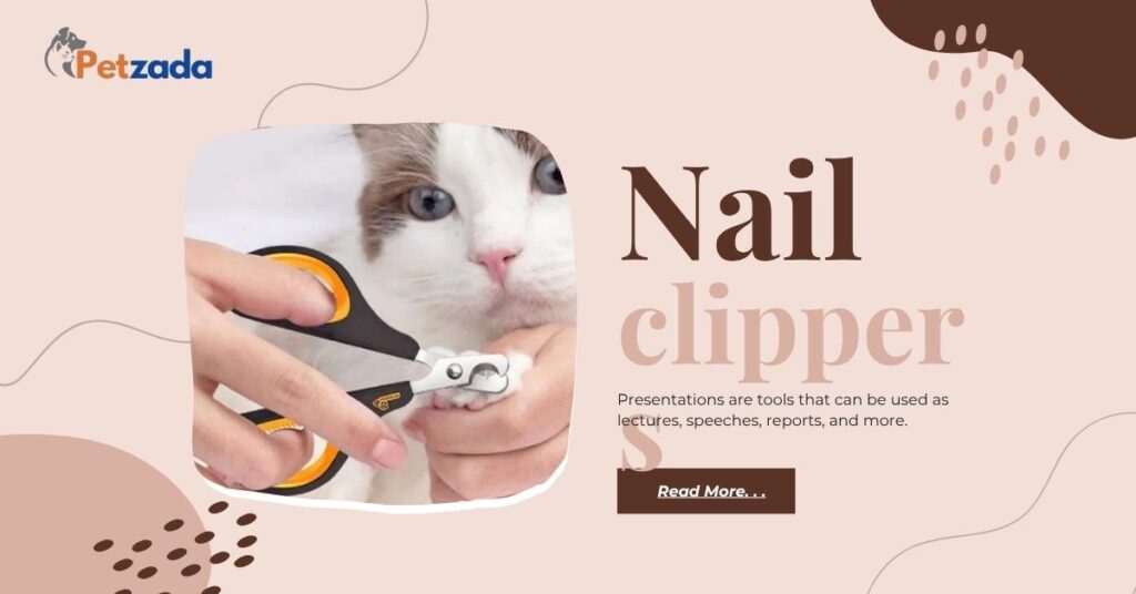 Best Cat Nail Clippers for Beginners