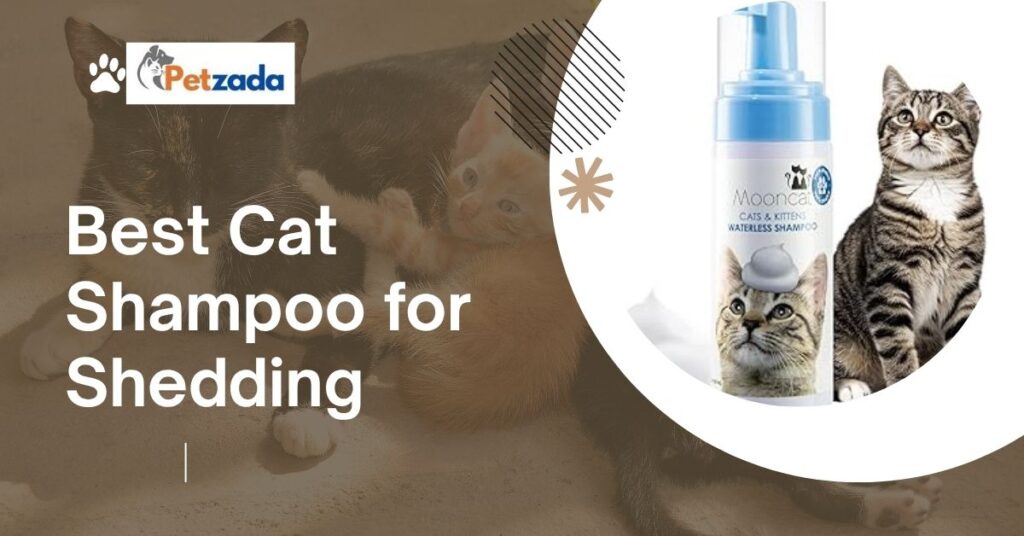 Best Cat Shampoo for Shedding