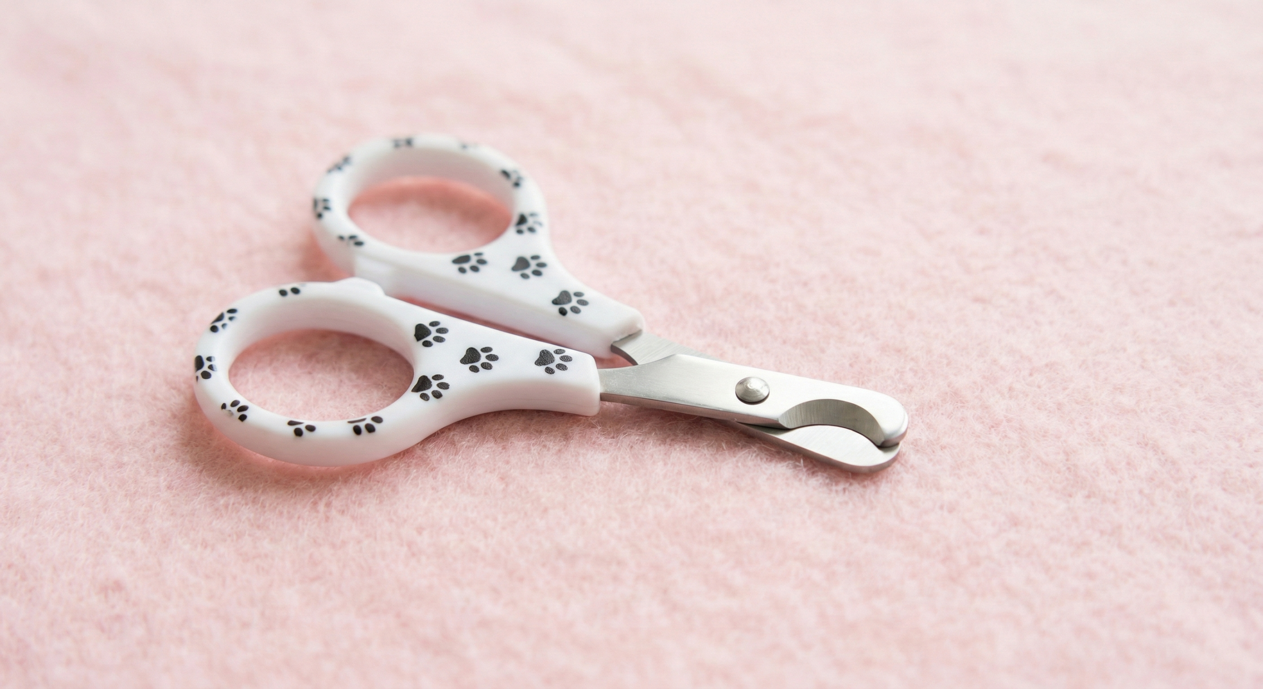 small cat nail scissors with paw print pattern