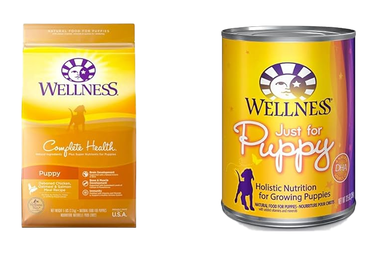 Wellness Complete Health puppy food for gaining weight safely